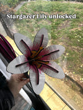 Foreva Flower - Lily