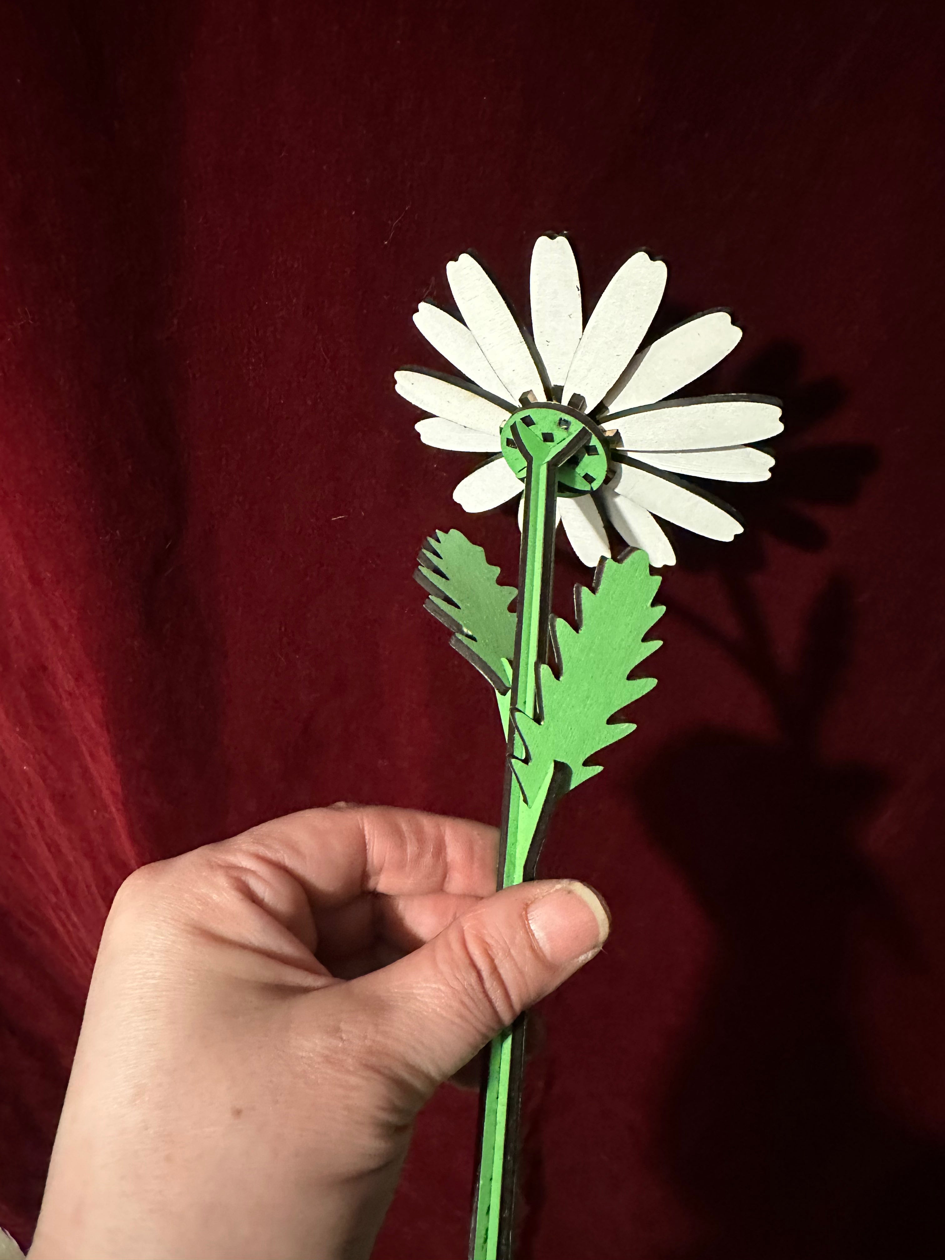 Foreva Flower - Daisy