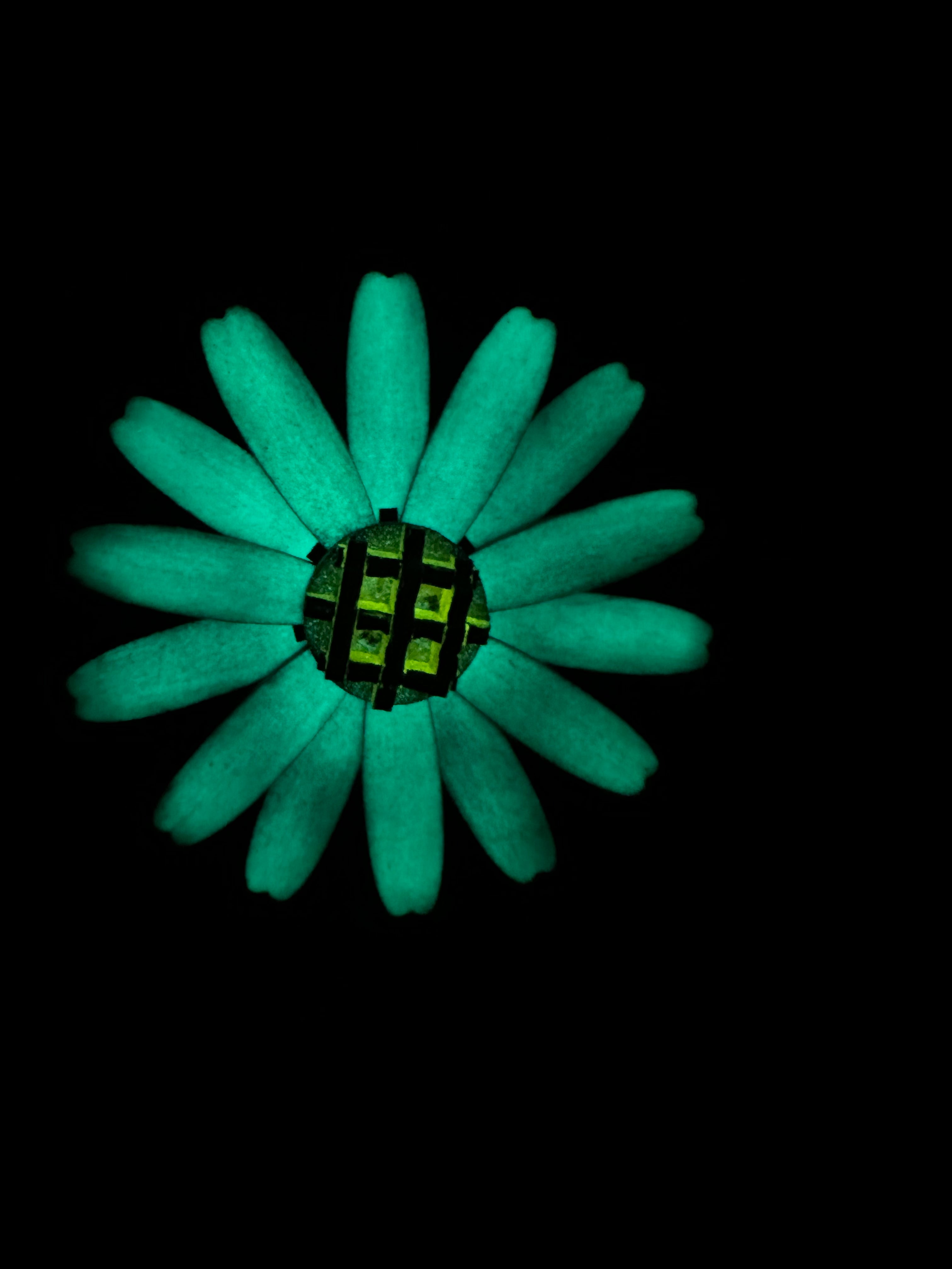 Foreva Flower - Daisy