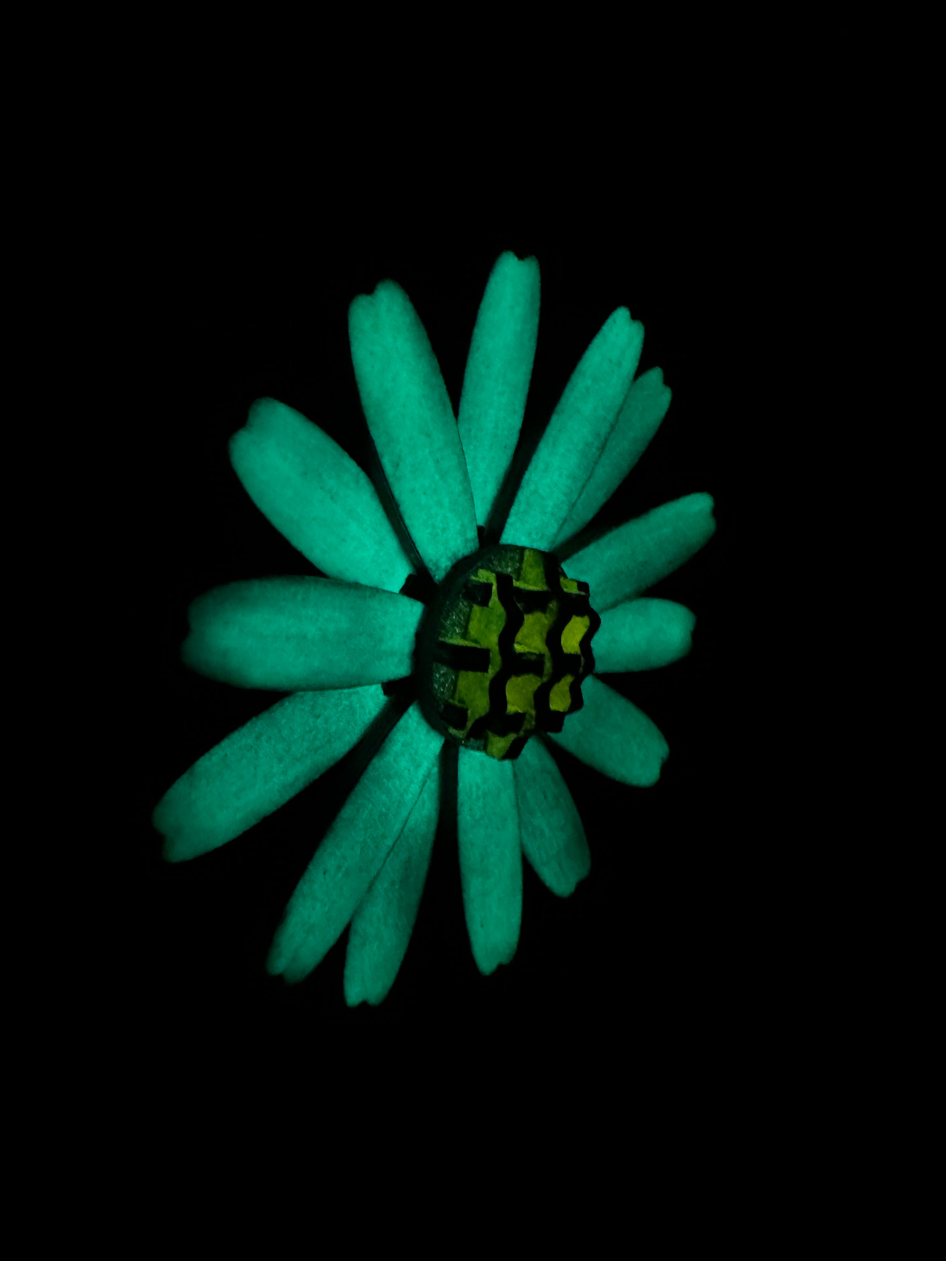 Foreva Flower - Daisy