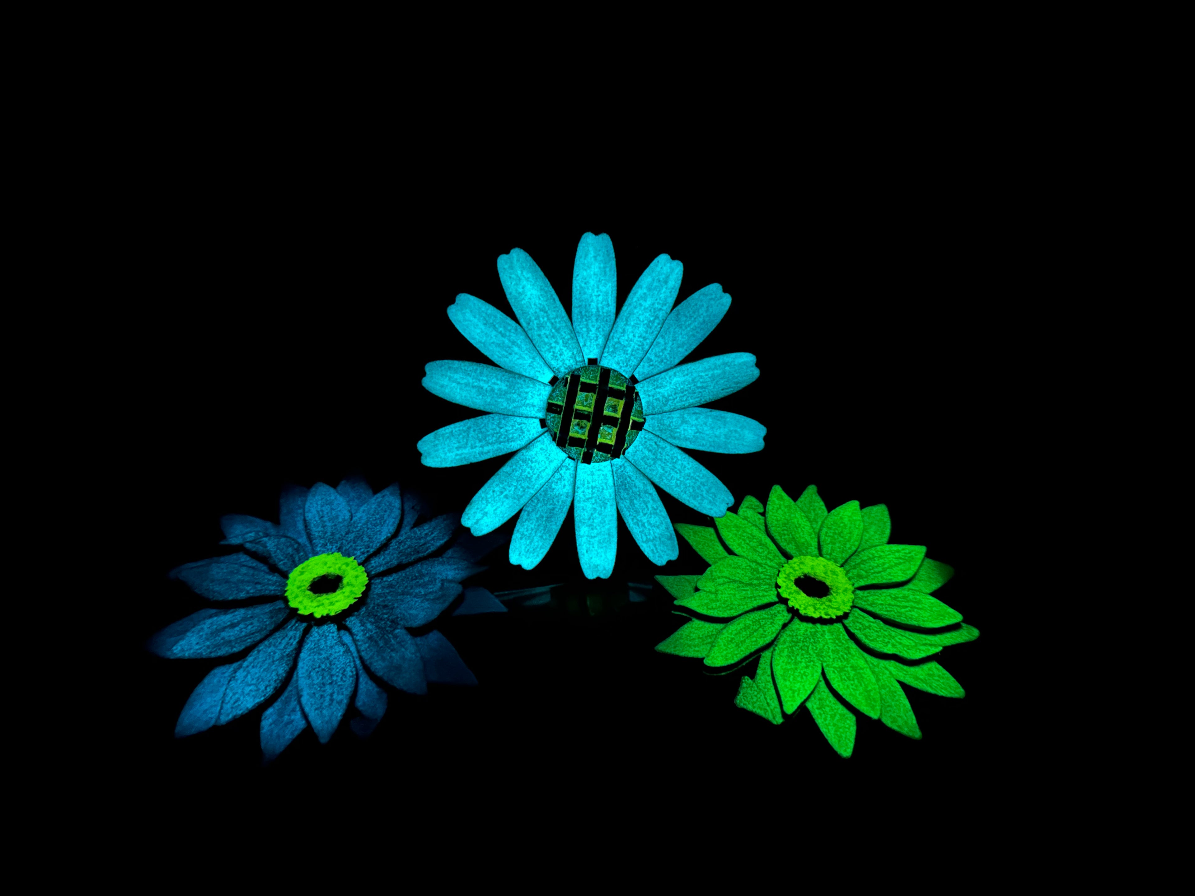 Foreva Flower - Daisy